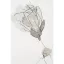 Passion - 904 ezüst - 280 cm