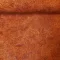 13 terra