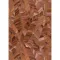 TF10446-13 levélmintás terra tapéta