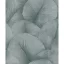 TF30034514 levélmintás szürke tapéta