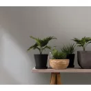 TF30082349 apró mintás világosszürke tapéta
