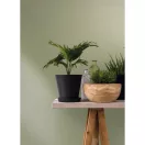 TF30082520 egyszínű világoszöld tapéta