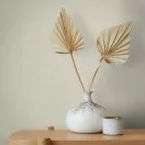 TF30082531 egyszínű krém tapéta