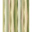 TF30089010 vonalmintás zöld tapéta
